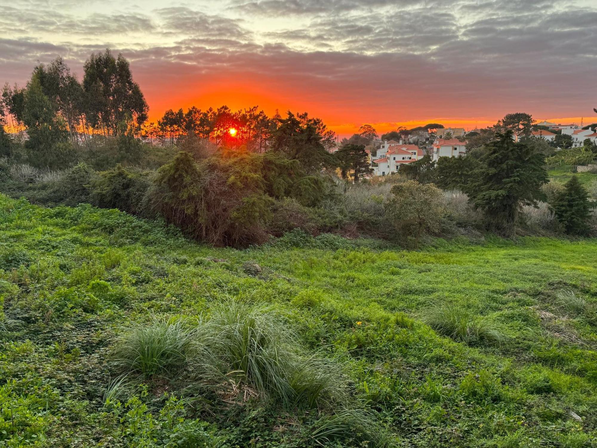 Boutique Hotel - O House Ericeira Hills Екстериор снимка